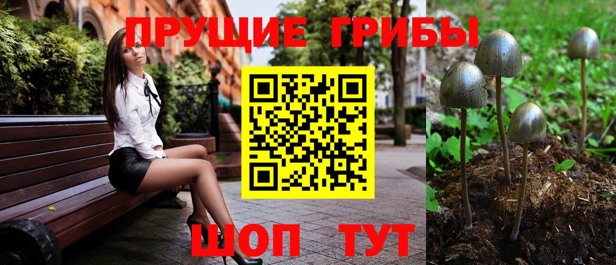 Псилоцибиновые грибы Psilocybine cubensis  Псилоцибиновые грибы ЛСД  Учалы  Вход с VPN 