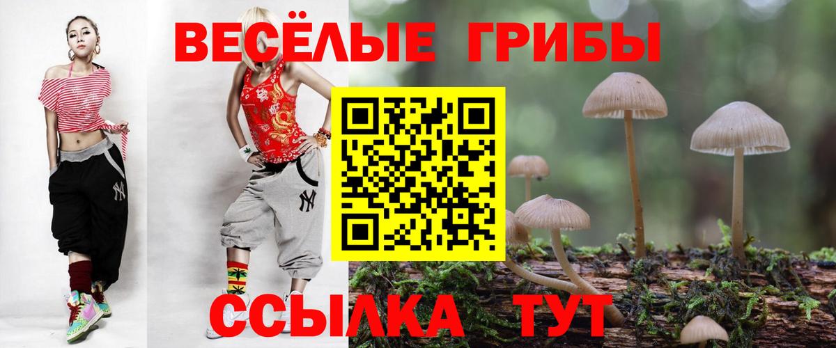 Галлюциногенные грибы GOLDEN TEACHER Учалы